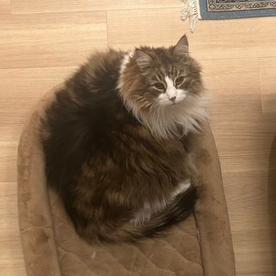 I2gX0EBDJx18080's profile picture. Xはじめました🔰たくさんの人とつながりたいです