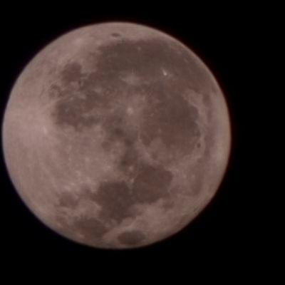 TobieP007's profile picture. 