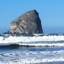 Traci Wheeler - @tmwheeler - Twitter