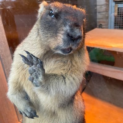 蓮華さんのプロフィール画像