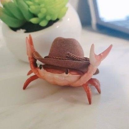 Spook_contre's profile picture. 18 🧑‍🦳✨