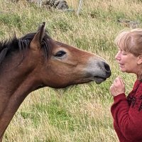 Deborah Davy (@deborahdavy5) 's Twitter Profile