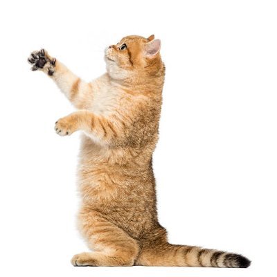 samuelwrig22367's profile picture. 