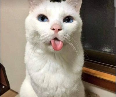 Phuong854813581's profile picture. Dep trai khoai to