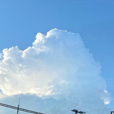 Futaba_Hisano's profile picture. KCG_D学系3回生 得意料理:チャーハン 志望:プログラマ