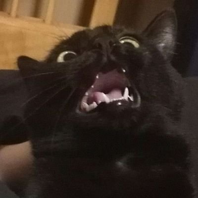 PusakHeetam's profile picture. Medic by day, gamer by night.