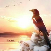 까치 (@magpie050523) 's Twitter Profile