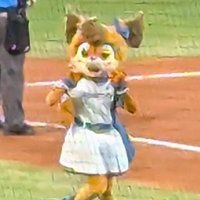 ファイターズのしのし☆ (@noshi20240821) Twitter profile photo