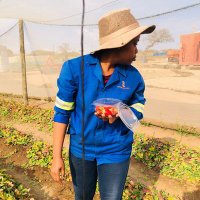 Tinyiko Mkhabela (@tinyiko83729) 's Twitter Profile