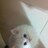 MonaAhmad14's profile image