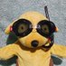 muff diver (@mffdvr) Twitter profile photo muff diver (@mffdvr) Twitter profile photo