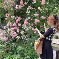 天使にゃん (@_angelnyan) 's Twitter Profile
