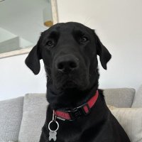 CryptoChaz (@cryptchaz) 's Twitter Profile