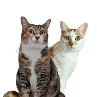 Stocking and Mocha (@stockingmocha) 's Twitter Profile Photo Stocking and Mocha (@stockingmocha) 's Twitter Profile Photo