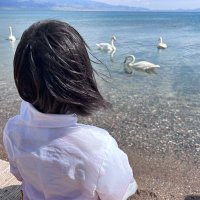Moledy(fo) (@tnglngx480156) 's Twitter Profile Photo Moledy(fo) (@tnglngx480156) 's Twitter Profile Photo
