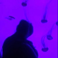 mamacita (@ibechillin69) 's Twitter Profile