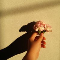 La (@aldebarannnnn_) 's Twitter Profile Photo La (@aldebarannnnn_) 's Twitter Profile Photo
