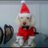 AndresYitzhak's profile image