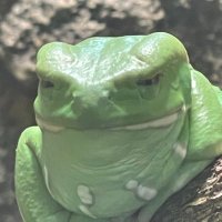 WizardErmac (@ermacwizard) 's Twitter Profile