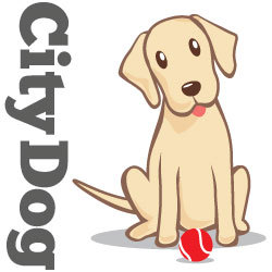 CityDogUSA's profile picture. City Dog USA has been taking care of CLT's beloved canines since 2000! We are committed to providing peace of mind through experience and devoted care.