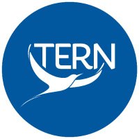 TERN (@ternrefugee) 's Twitter Profile