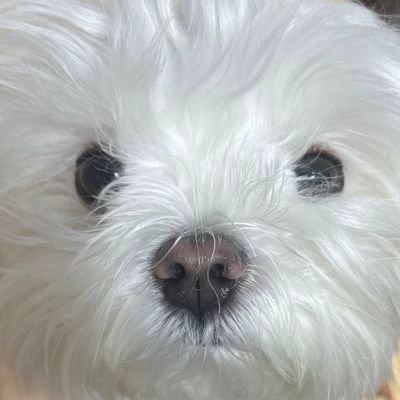 ekdwkdrrmxwkdso's profile picture. 빠순일상계 / FOLLOW❌️