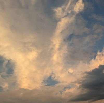 PsnPFX55RA91445's profile picture. こんにちは😃