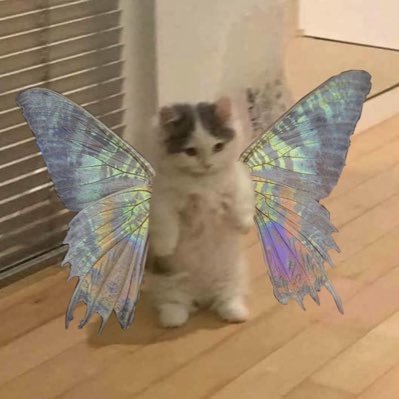 back from the dead, baby! // ammy // 18 // 🇬🇧-N 🇩🇰-B1 (hiatus, hopefully resuming) // selfstudying #alevels2025 // kinda just here to yap 😳
