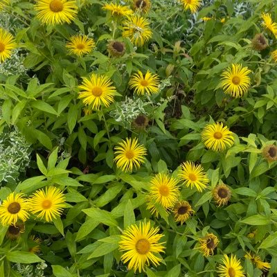 WnbrownWayne's profile picture. Beautiful 🇬🇧🏴󠁧󠁢󠁳󠁣󠁴󠁿🏴󠁧󠁢󠁥󠁮󠁧󠁿🏴󠁧󠁢󠁷󠁬󠁳󠁿🇬🇧