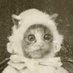 josephine gordone levitte (@fetalgeniuss) Twitter profile photo josephine gordone levitte (@fetalgeniuss) Twitter profile photo