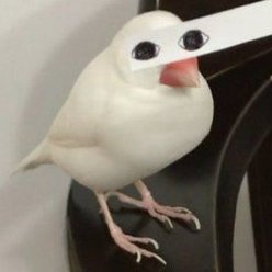 juananさんのプロフィール画像