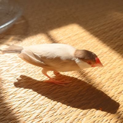 yamyamさんのプロフィール画像
