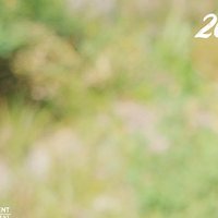 uruuru🌱 (@minatzuyu3737) 's Twitter Profile