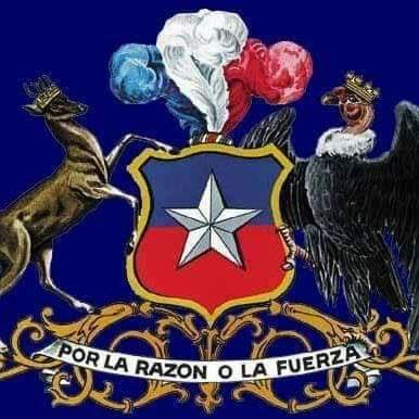 Apoyo y gratitud a nuestras FF.AA y Carab, justicia a Presos Políticos, Fuera políticos y jueces coruptos, provida y donante!!!