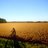 FMT_Bike_Tours's profile image