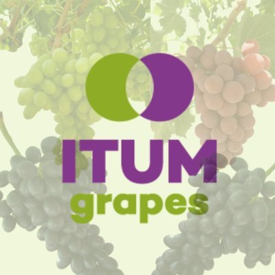 Investigación y Tecnología de Uva de Mesa, S. L., creada en 2002 con la finalidad de obtener y desarrollar nuevas variedades de uva de mesa apirenas.