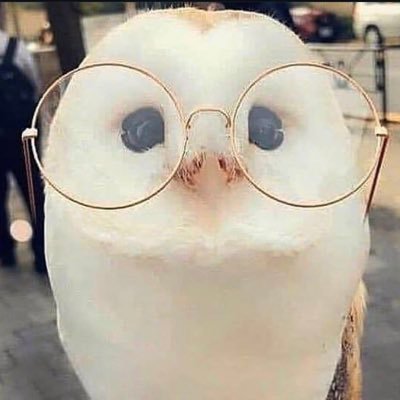 ThePrivateKat's profile picture. This is the OFFICIAL private account of @TheDerpyKatLIVE might decline new people at some point, but for now, feel free to request access!