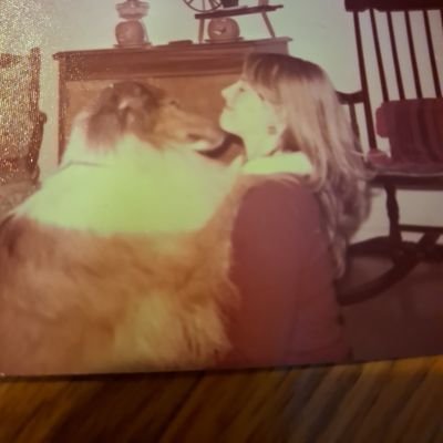 KCnewyorker's profile picture. Love animals dogs and horses most of all. Love to ride horses. Love The New York Giants, Music 🎶 Love 60s' music, Guns n' Roses & The Moody Blues ❤️