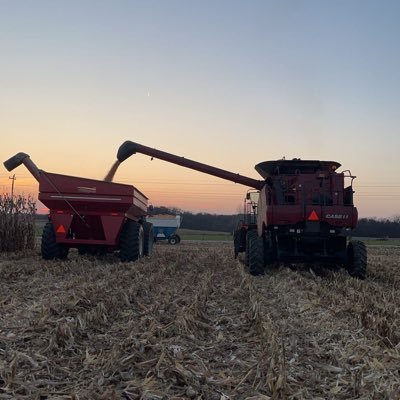 Corbn15's profile picture. iuk 2028