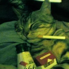 tatyavinchuarc's profile picture. 23 - character animation ✨I skate and swim 🦅