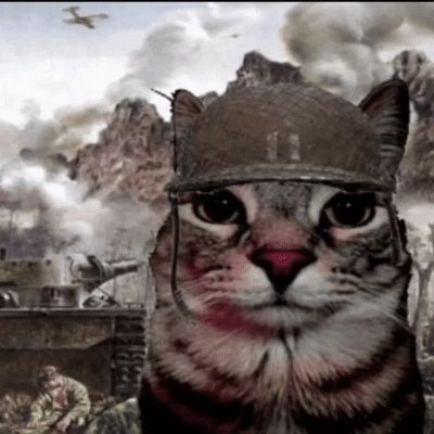 anyo0o0o0's profile picture. 