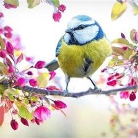 Mari (@mari32841248664) 's Twitter Profile
