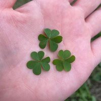 K (@ihjiskzzkmj2vyt) Twitter profile photo