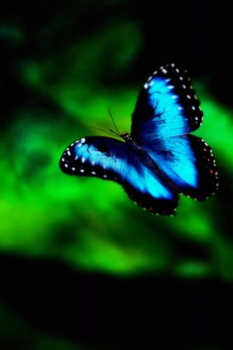 qwer1004ss's profile picture. Good news를 전해 드리는 엘로히스트가 되고 싶니다./ I have already come.