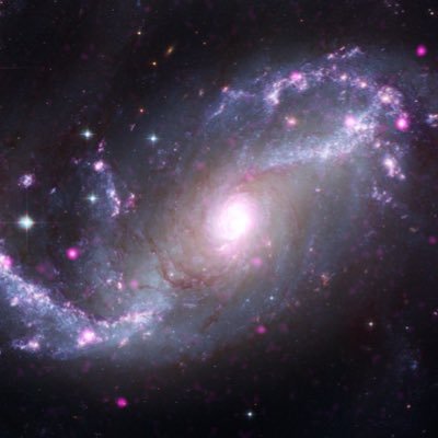 jensv76388884's profile picture. 🤷‍♂️