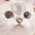 ˓ 𝙙𝙚𝙖𝙧𝙨𝙪𝙣𝙨𝙝𝙞𝙣𝙚 ˒ (@__dearsunshine) Twitter profile photo ˓ 𝙙𝙚𝙖𝙧𝙨𝙪𝙣𝙨𝙝𝙞𝙣𝙚 ˒ (@__dearsunshine) Twitter profile photo