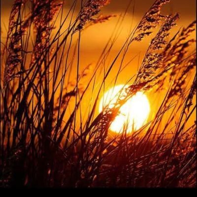 NurettinSar19's profile picture. 