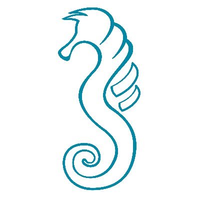 SeahorseJustice's profile picture. Criminal justice consultancy, research and training.