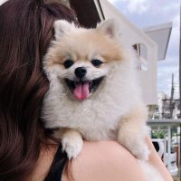 Raven (@_rr0715) 's Twitter Profile