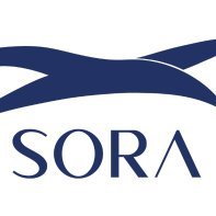 Sora Aviation (@soraaviation) 's Twitter Profile